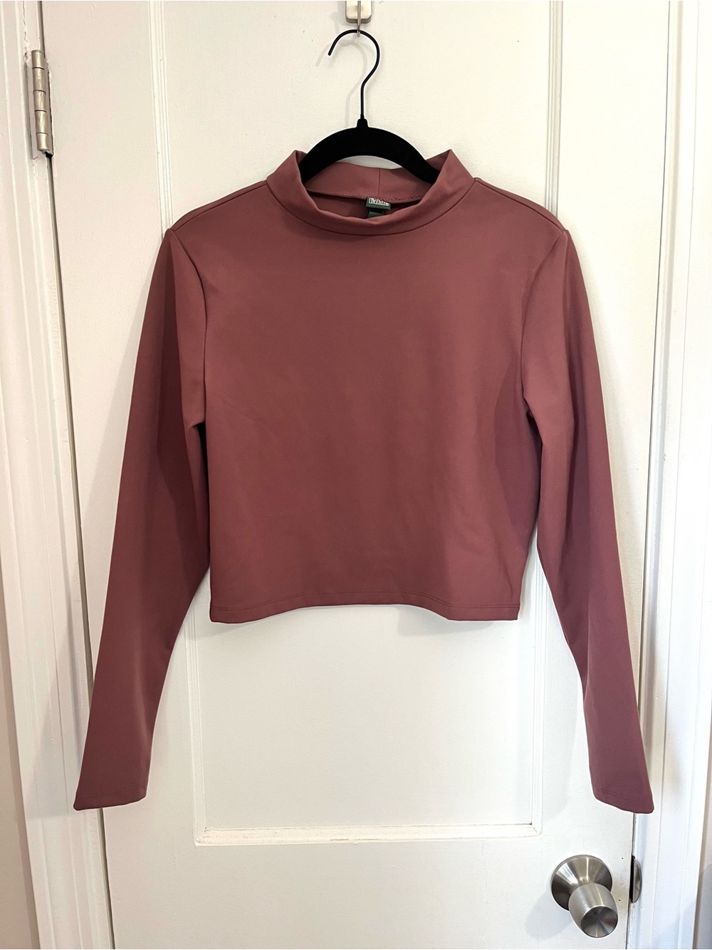 wild fable Mauve Mock Neck Long Sleeve Crop Top